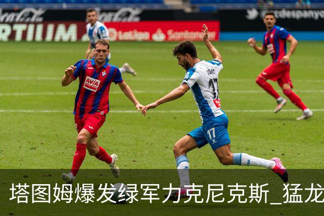 塔图姆爆发绿军力克尼克斯 猛龙大逆转胜奇才